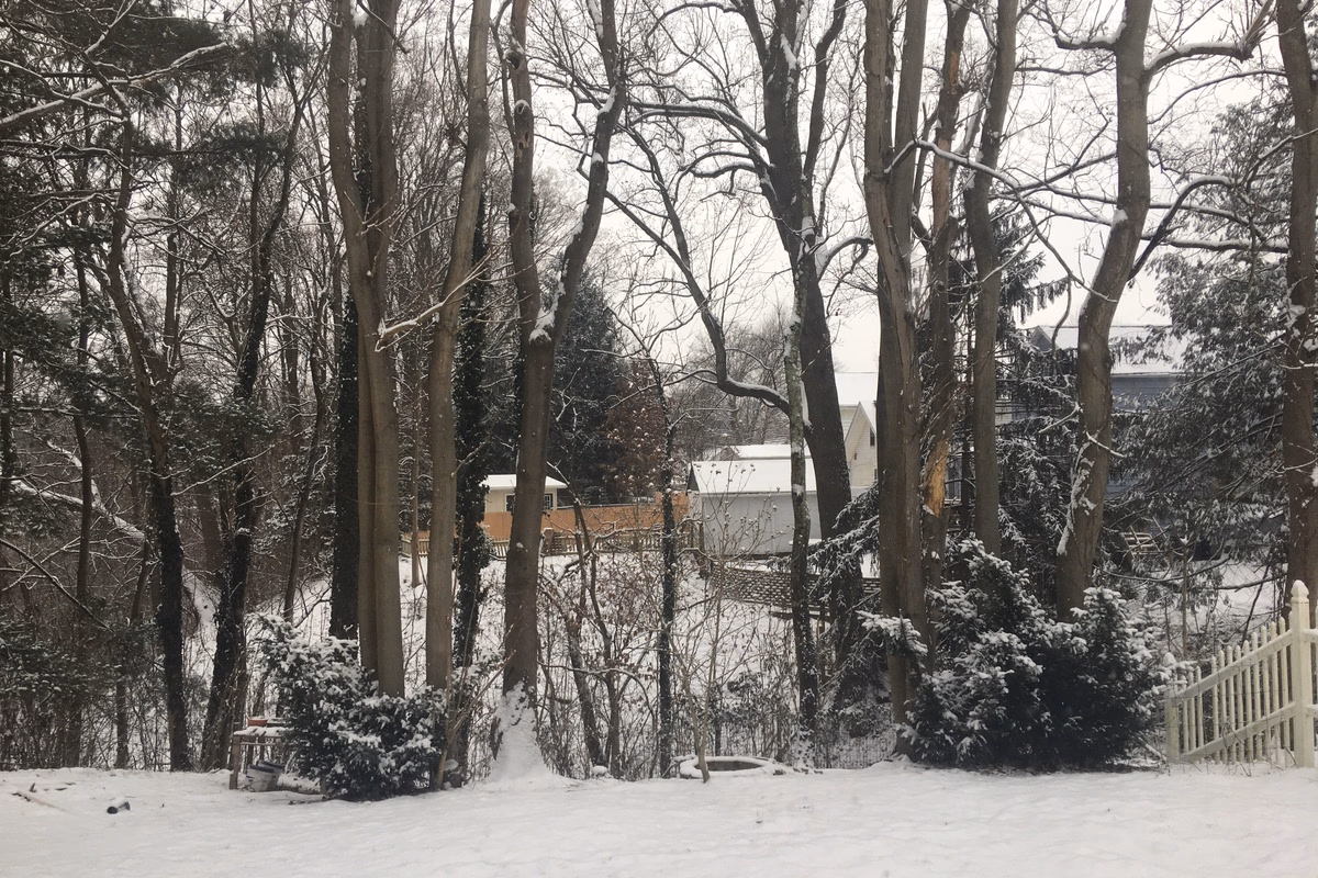Snowy grounds and trees around a real SILK Homes property