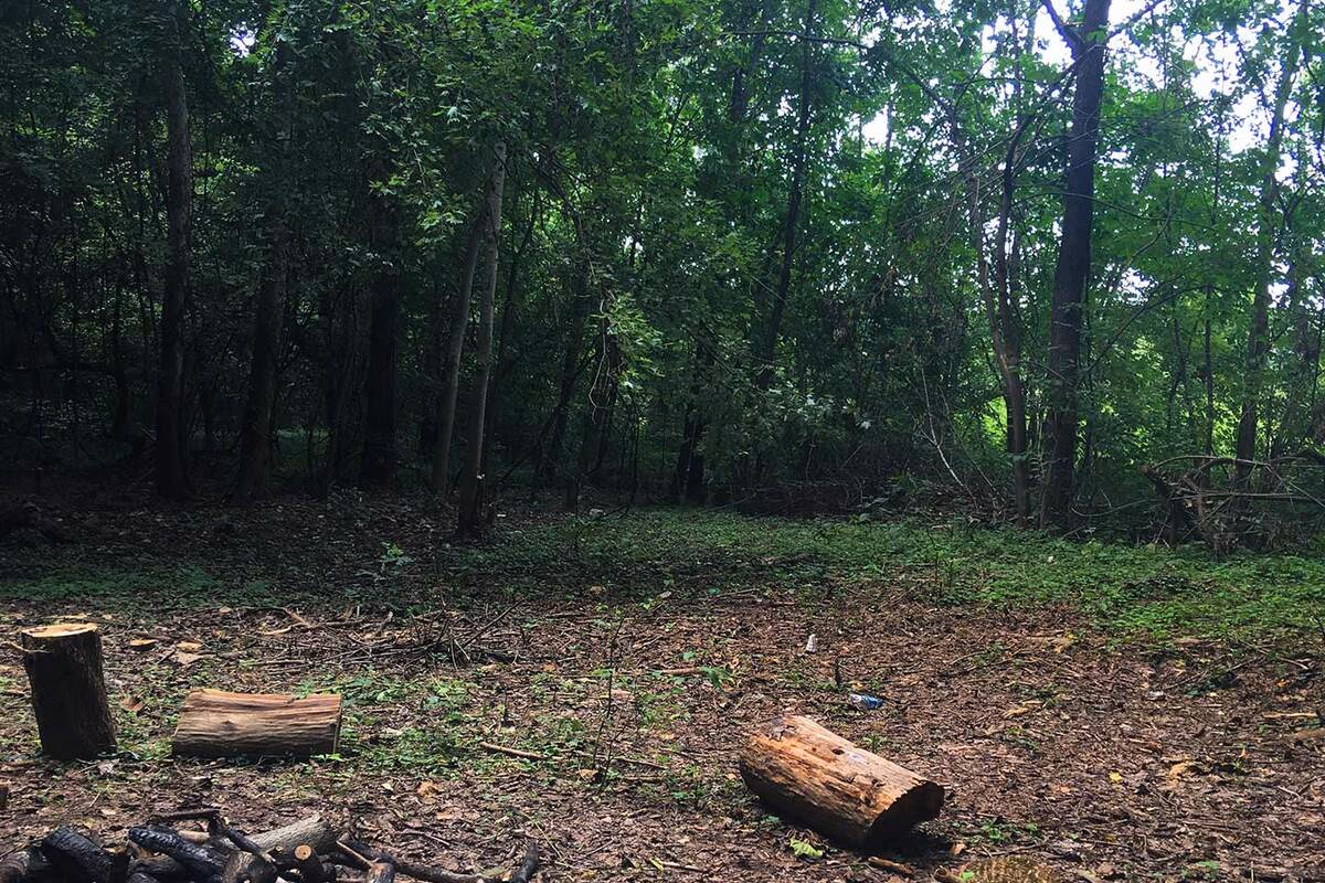 Wooded clearing and open ground near a real SILK Homes property