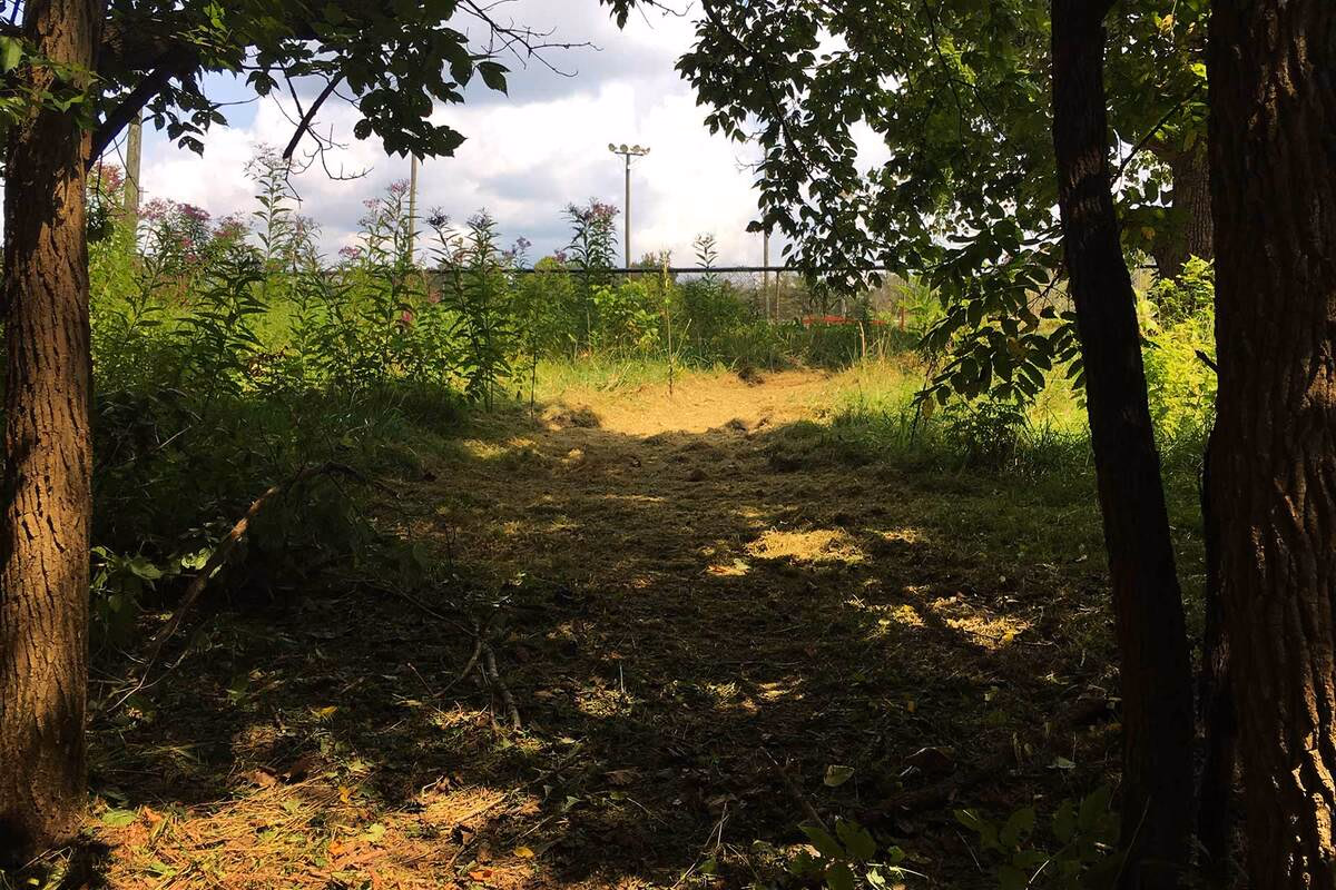 Open field and tree line near a SILK Homes town